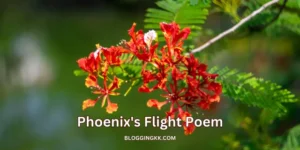 Phoenix's Flight Poem in English