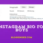 1065+ Best Instagram Bio for Boys – Attitude, Cute, and Stylish!